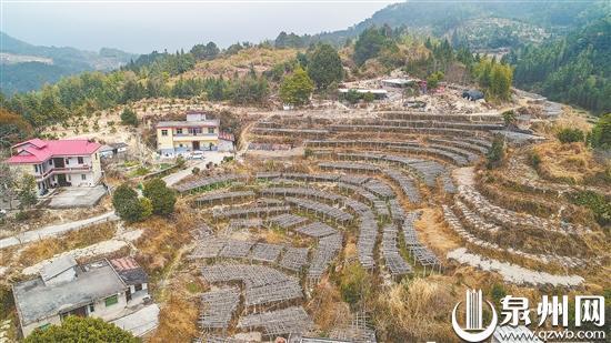 永春县外山乡草洋村 路宽产业兴日子变和美 国道 草洋村 外山乡 永春县 桥头