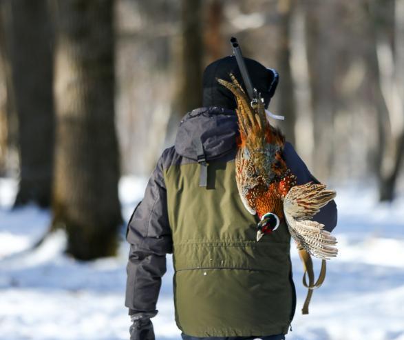 故事村里的猎户
