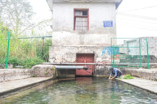 神奇！广西这口泉水遇洪水也不浑浊，原因竟是……_腾讯新闻