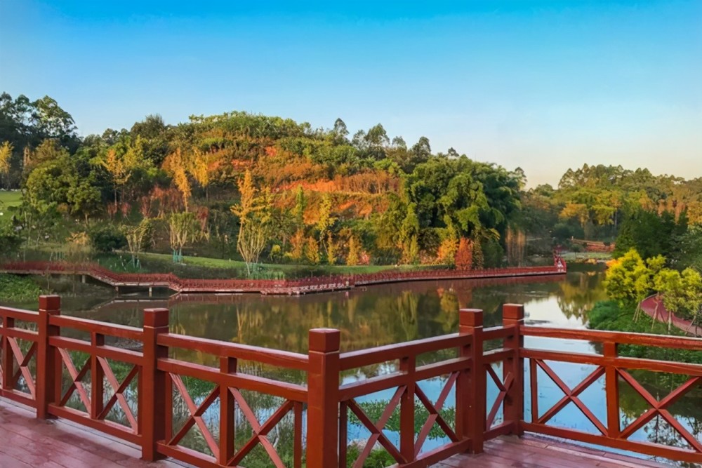 乐山一生态公园走红,占地9.8平方千米,被誉为"城市佳作"