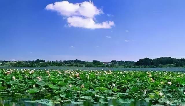 全面建设红莲湖辉煌大道.启动武黄高速庙岭互通东移提档升级工程.