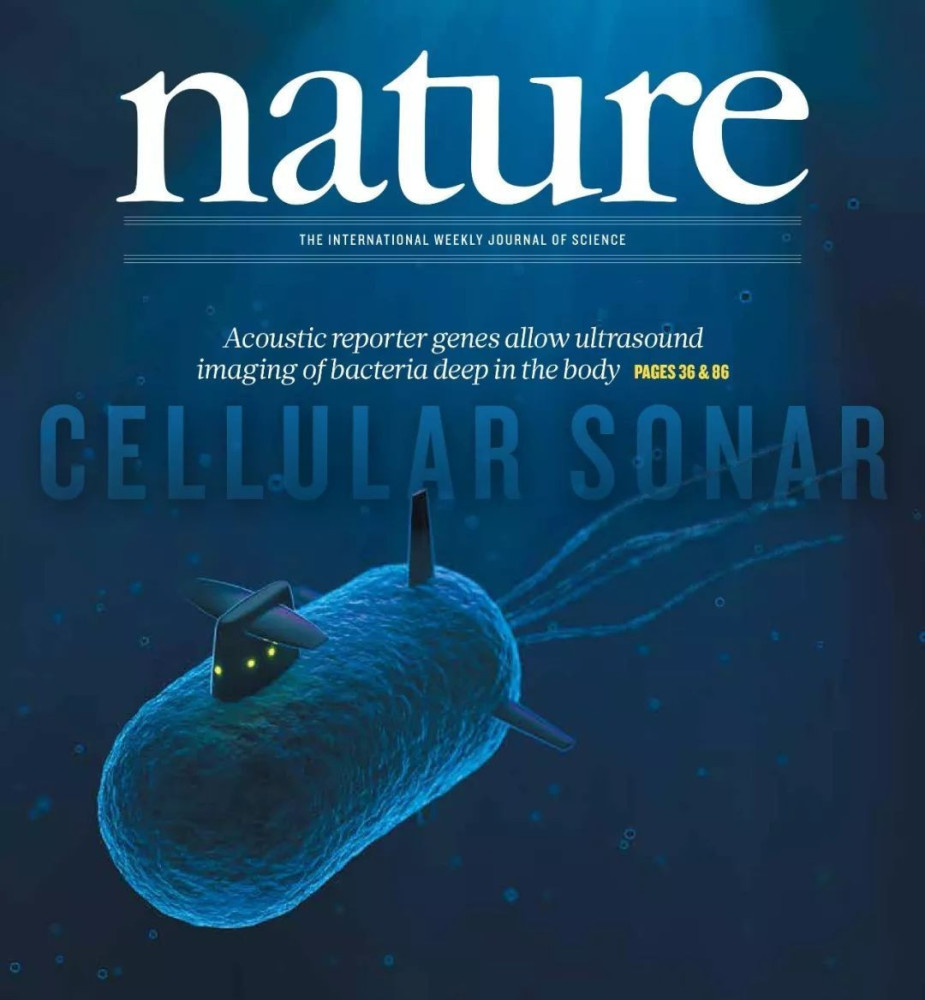 所以,《nature》杂志,在科学界的权威性,和影响力,就不言而喻了!
