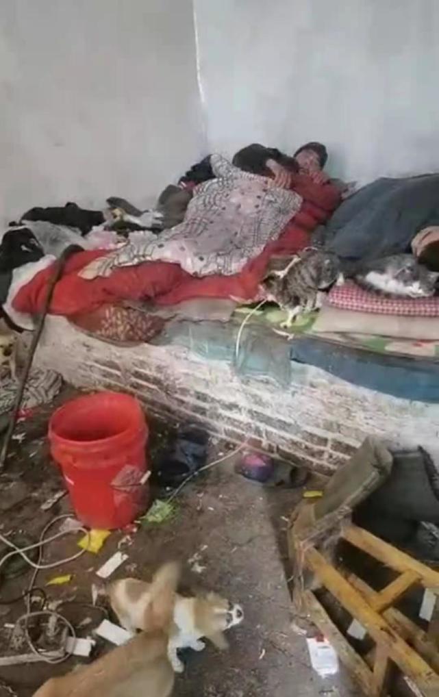 当地回应"扶贫干部怼懒惰父子":已收拾干净屋子 干部