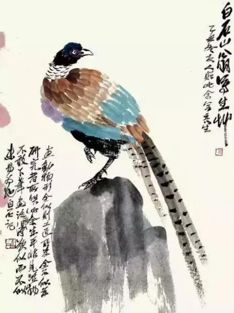 齐白石画的丑鸟图像是小孩子的涂鸦为何能价值千万