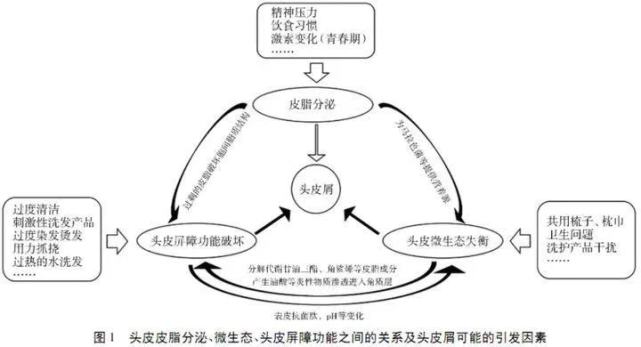 每次洗完第二天头屑特别多?是你的洗发水不对吗?