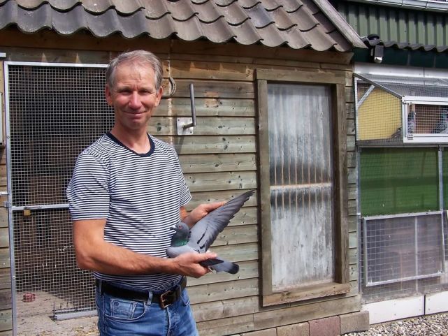 当今荷兰鸽坛最优秀的全能鸽舍,欣赏他的优秀种赛鸽!_腾讯网