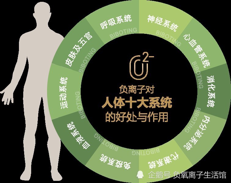 zn对人体的作用 腾讯网
