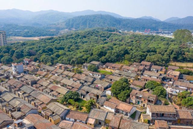 查看更多图片 >大岭山抗日根据地旧址于2004年9月被评为东莞市文物