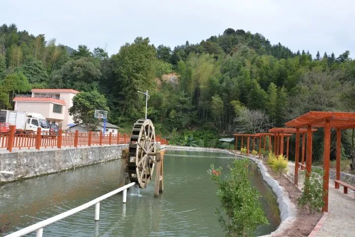 阳山这个省定贫困村脱胎换骨村民鼓了腰包村庄换了新衣