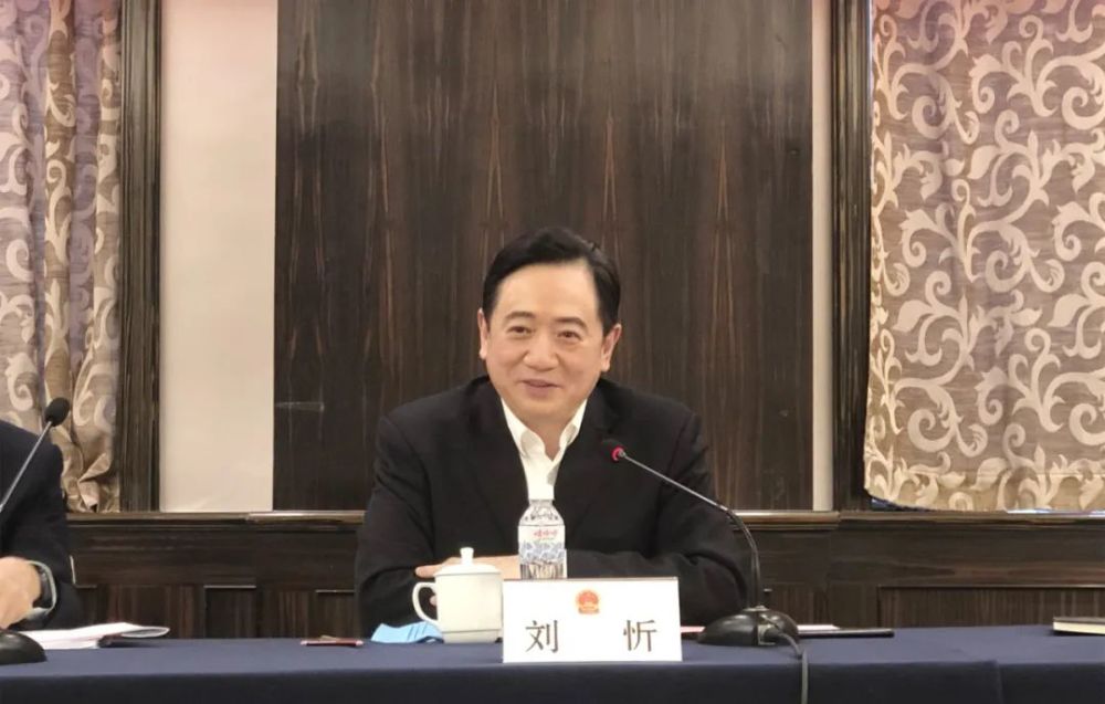 打造生态文明引领乡村振兴的临安样板刘忻市长参加临安代表团审议