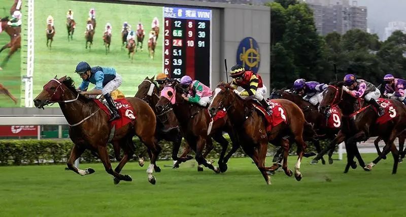 香港賽馬會獲准增加轉播賽日以助打擊非法賭博