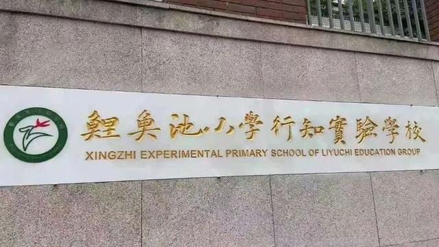 小学排名2020最新排_河南“十强”小学排名,河南实验小学排第一,育红小