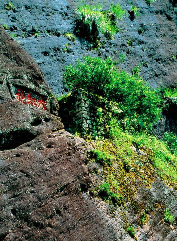 武夷山大红袍是红茶还是乌龙茶?_腾讯新闻