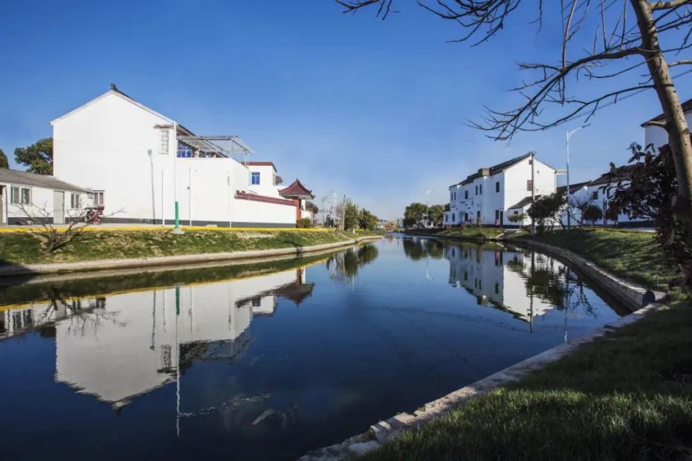 吴江这个镇获评"美丽村景"优秀区镇 两村获金奖!_腾讯新闻