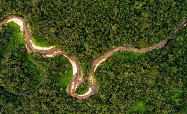 亚马逊雨林最恐怖的生物 除了人类没有天敌 毒性碾压眼镜王蛇 腾讯新闻