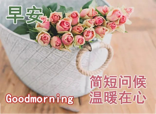 最新创意唯美的早安祝福图片带字温馨,好看的早上好问候祝福图片精选