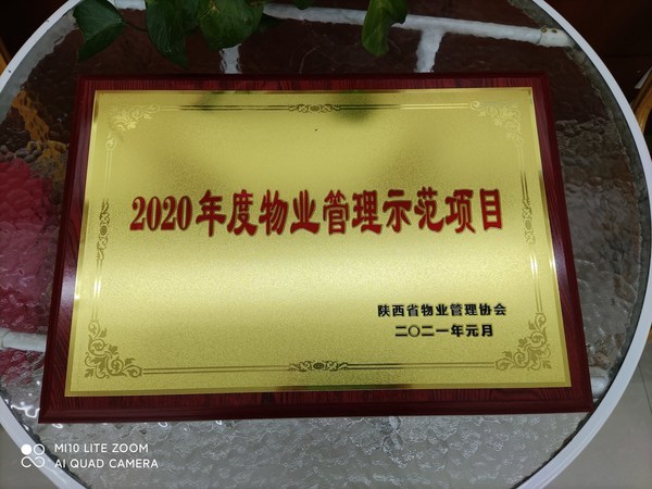 新兴物业在服项目荣获"2020年度物业管理示范项目"荣誉