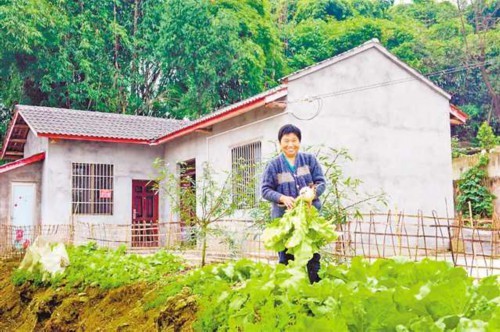 大興鎮|重慶|璧山區