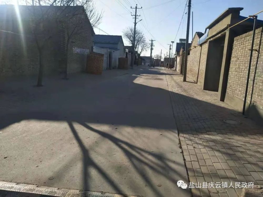 爱卫在行动 | 庆云镇有力有序开展"干干净净过春节"村庄清洁行动