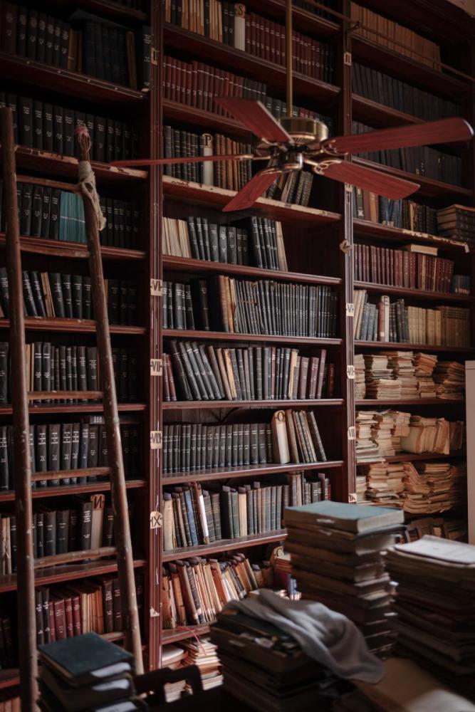 藏书室的门并不起眼,打开却是别有一番神奇的景象.