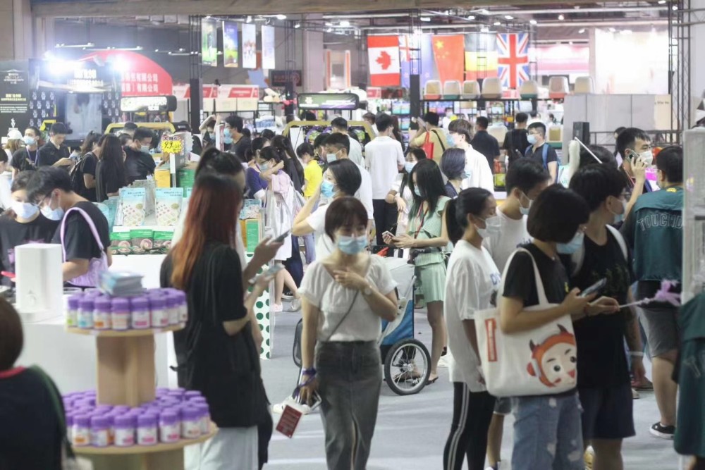 重庆宠物运输公司
