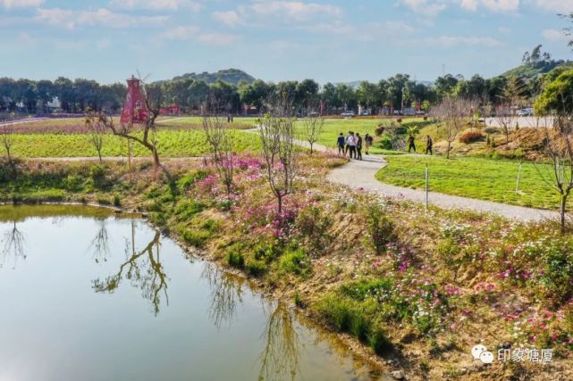 华侨城龙背岭花海位于龙背岭社区牛眠埔新围的2月9日起留在塘厦过年