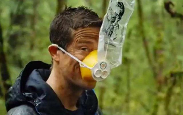 野外探险知识令人折服,为了能够活下去,它可以和毒蛇缠斗,能够吃臭鼬