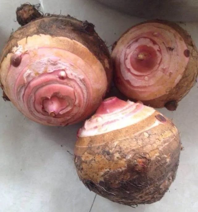 天津|汪豆腐|芋头|荸荠|灶糖