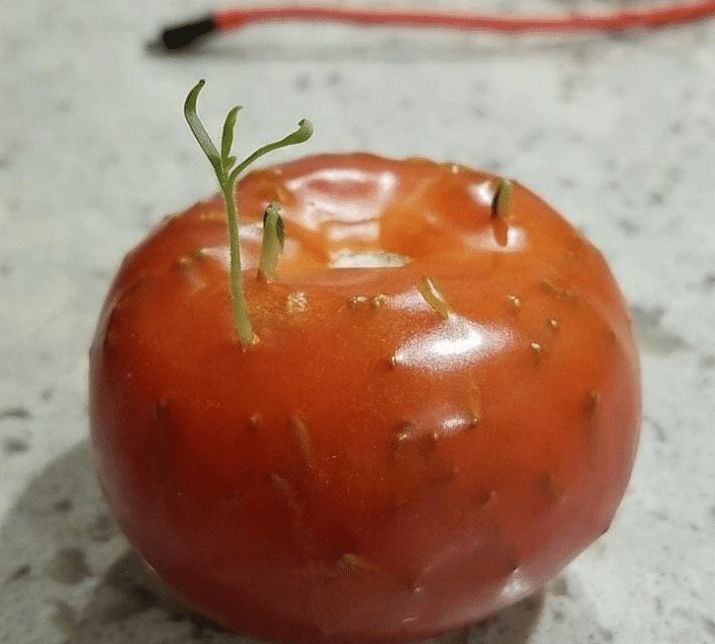 跑完步全是起鸡皮疙瘩(跑步中起鸡皮疙瘩还要跑嘛)