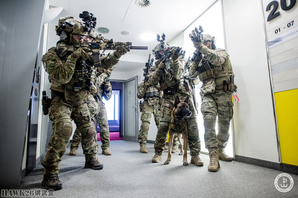 波兰最老牌特种部队cqb战术演习轮盘锯破拆房门军犬随同行动