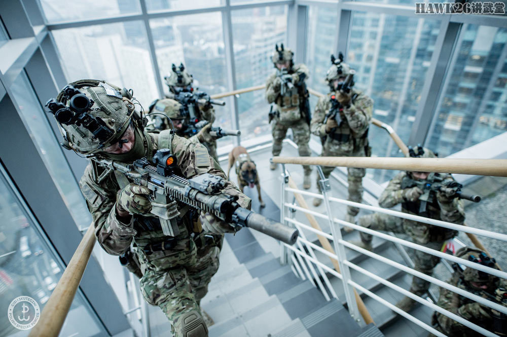 波兰最老牌特种部队cqb战术演习轮盘锯破拆房门军犬随同行动