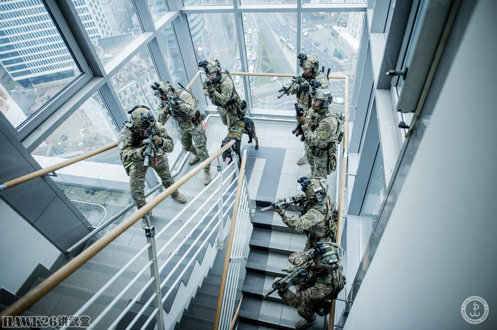 波兰最老牌特种部队cqb战术演习轮盘锯破拆房门军犬随同行动