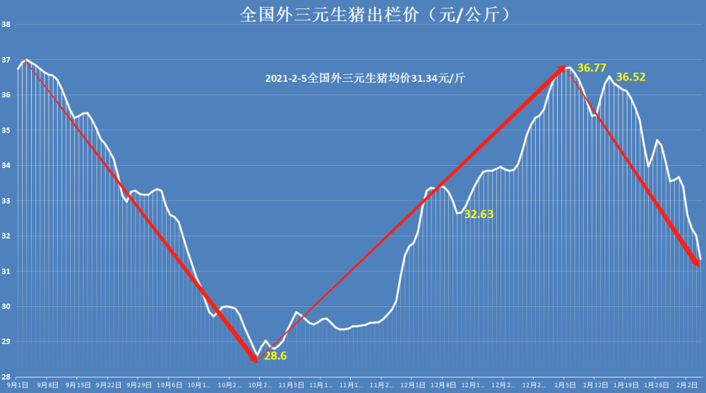 豬價,白條豬聯袂下跌,肉價搖搖欲墜,春節豬肉價格能便宜嗎?