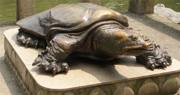 书纪年》也有所提及,其中讲述了一段相当有意思的故事,名为"鼋鼍为梁"