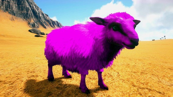 值得养一大群方舟生存进化绵羊是肉和羊毛的极好来源