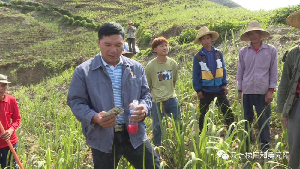 全国劳动模范曹正发甘做革命的一块砖