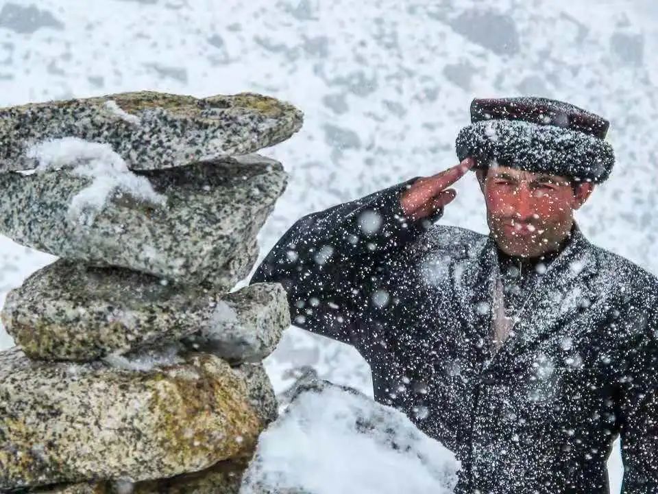 花儿为什么这样红