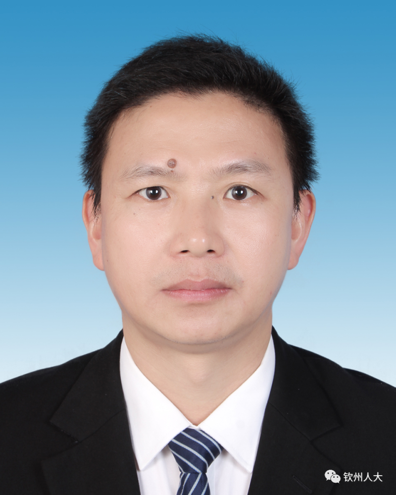 钦州市人大常委会表决通过一批人事任免事项