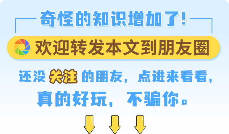 兔子|兔兔这么可爱，为什么要吃屎？