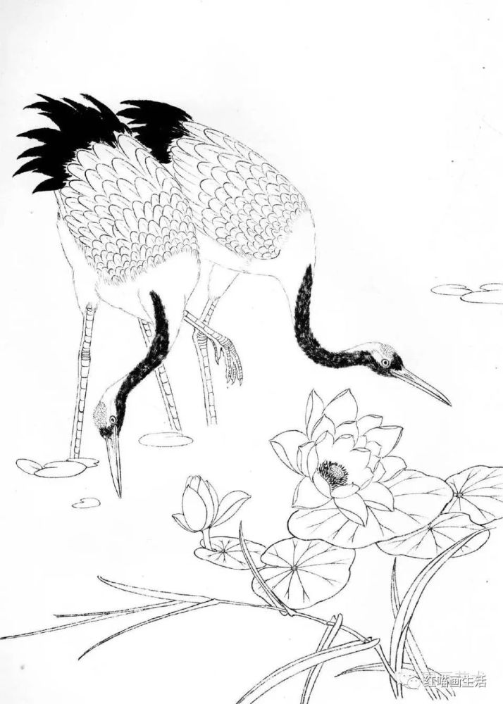 白描吉祥仙鹤画起来