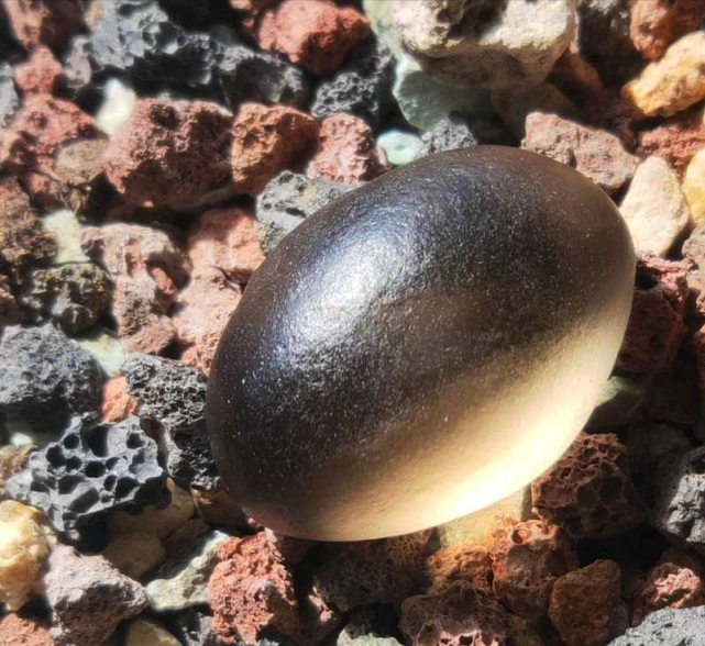 宝石光中的能量石黑宝石光