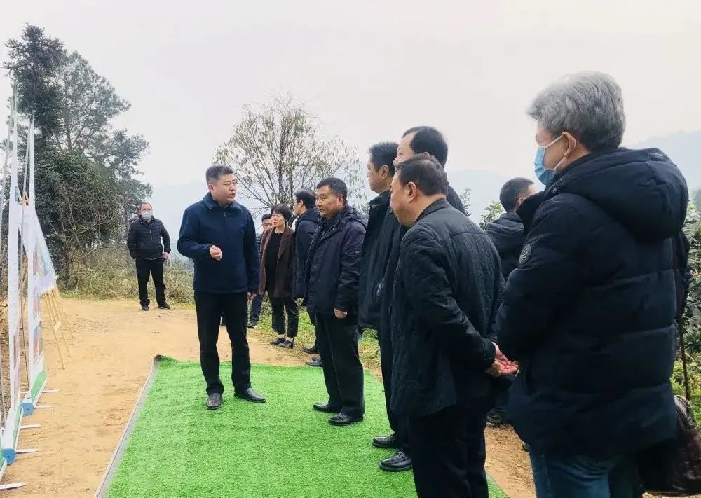 2月2日 成都市委常委左正深入蒲江县朝阳湖镇重要林