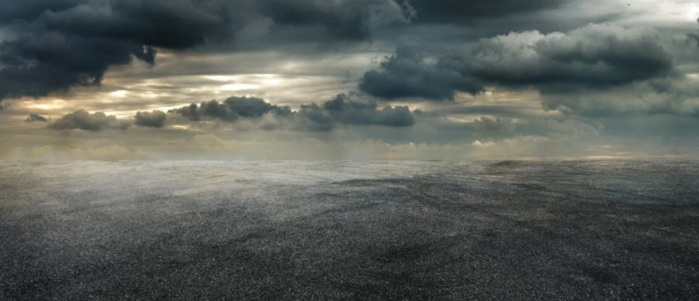 生物多样性|生物多样性锐减、气候变化被严重低估！人类即将步入可怕的未来？