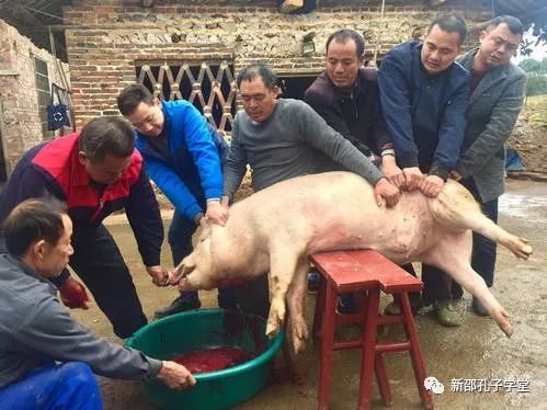 新邵文化杀年猪