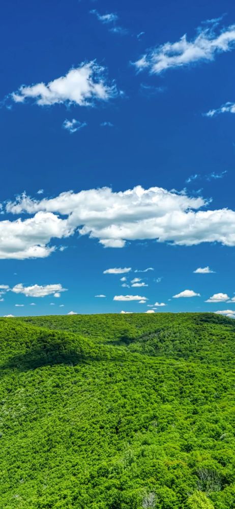 Iphone壁纸 高清壁纸大图 腾讯新闻