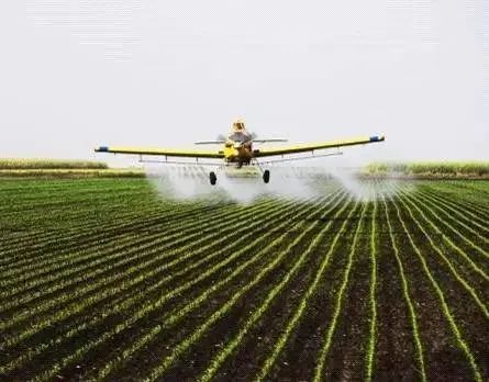 农药|别妖魔化农药化肥了！