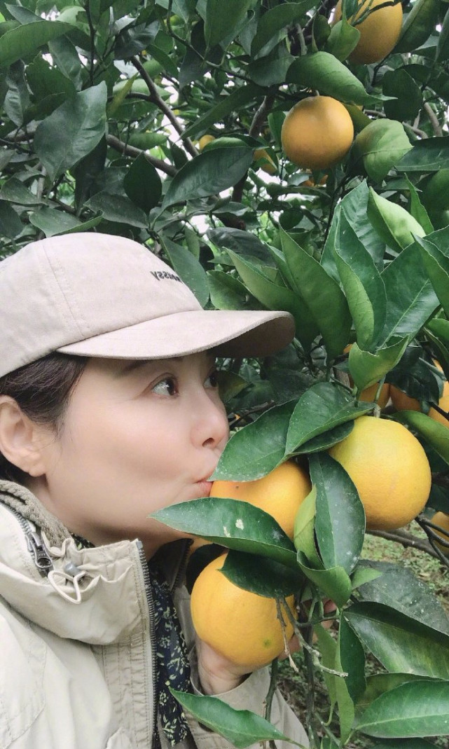 她还蹲在地上,拿着橙子一个个擦干净,也是十分用心对待这份事业了.