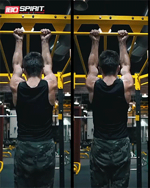 干货,快收藏!|哑铃|三头肌|弯举|杠铃