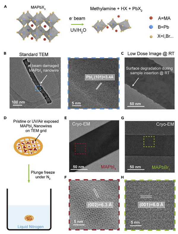 and atomic structure of organic-inorganic halide perovskites by