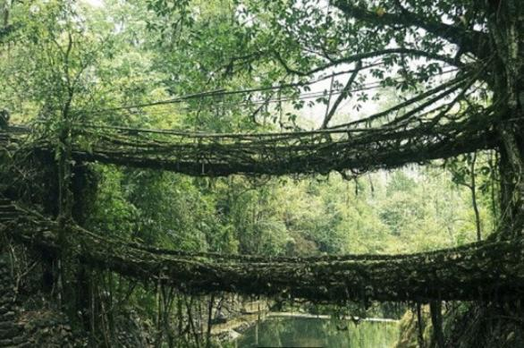 可口可乐|16个冷知识，从来没听过，大部分人都不知道可乐的真实名称